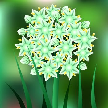 Beautiful spring flowers Onion. Cards or your design with space for text. illustration