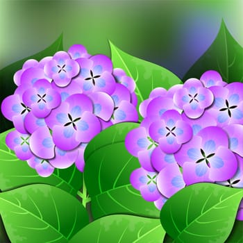 Beautiful spring flowers Hydrangea. Cards or your design with space for text. illustration