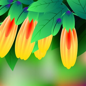 Beautiful spring flowers Justicia rizzinii. Cards or your design with space for text. illustration