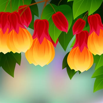 Red Vein Chinese Lantern Abutilon pictum with flowers. Misiones Rainforest, Argentina, South America. illustration