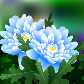 Beautiful spring flowers chrysanthemum. Cards or your design with space for text. illustration