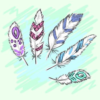 Set of beautiful colored feathers. Sketch feathers. illustration