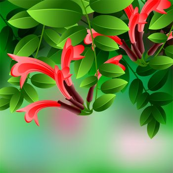 Beautiful spring flowers Aeschynanthus. Cards or your design with space for text. illustration