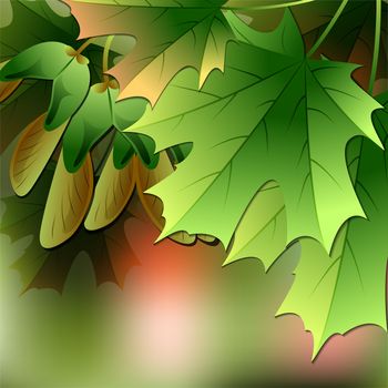 Maple leaves on abstract blurred background. illustration