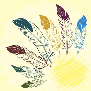 Set of beautiful colored feathers. Sketch feathers. illustration