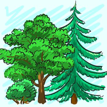 Spruce and green tree. Park. Corporate identity is drawn by hand. illustration