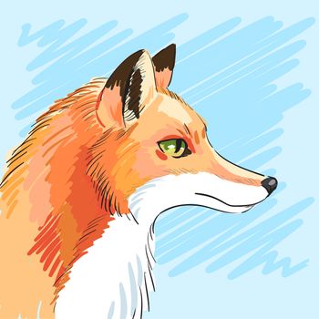 Portrait of predatory fox hand-drawn. Individual corporate identity. It can be used as a postcard. illustration
