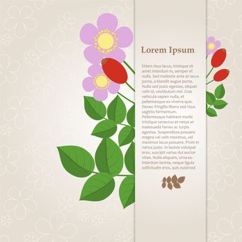 Floral composition with rose hips on a beige background with space for your text. Card. illustration