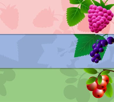 Three banner with raspberries, currants and cranberries with space for your advertising. illustration