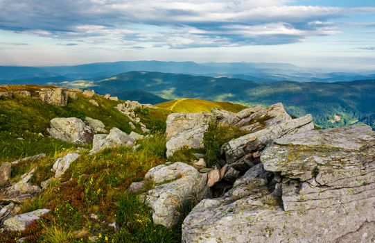 huge rocky formations on the grassy hills. beautiful mountain landscape in late summer on a cloudy day. location Runa mountain, Ukraine