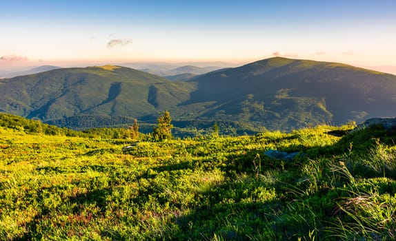 grassy hillside meadow in the morning. two mountains in the distance in beautiful light