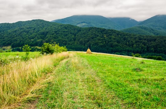 path down the rural field on hillside. lovely countryside scenery with haystack and forested mountains