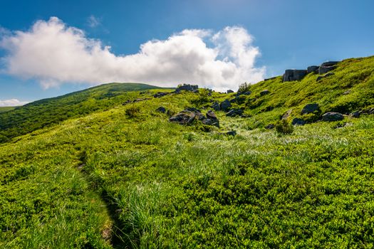 path uphill in to the cloud. lovely mountain landscape in summer. tourism and summer activities concept