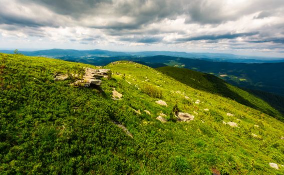 grassy slope of the mountain on a cloudy day. beautiful summer landscape of Carpathian mountains