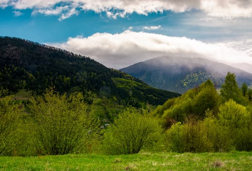 countryside of Carpathian mountains in springtime. beautiful nature scenery on a cloudy day