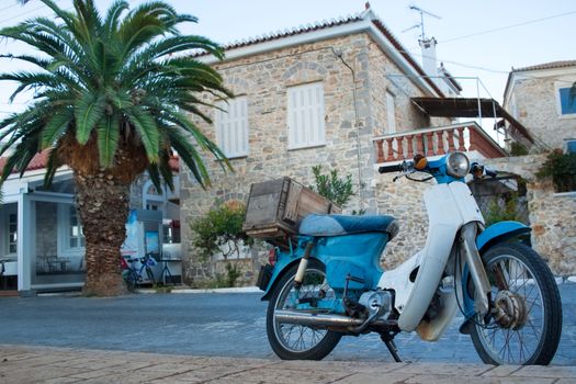 Blue bike standing on mediterranean street with palm tree