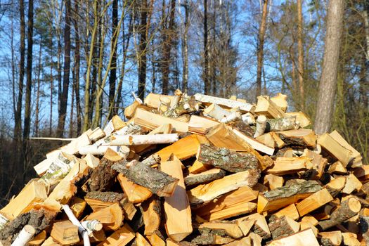 Firewood dries in sun rays. Chopped pine pile on blue sky and tree background