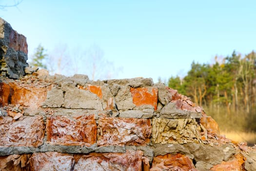 Old destroyed red brick closeup wall background texture on forest nature backdrop. Broken building stone construction