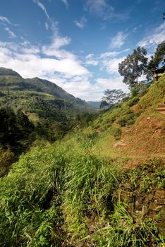 View of landscape with mountains in Sri Lanka