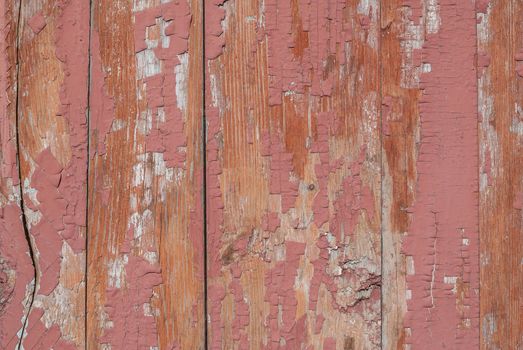 texture of wooden surface with remnants of old paint that has dried and cracked under the influence of weather