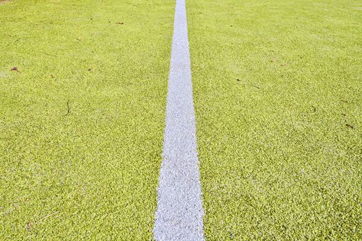 White line on green playing field. Copy space. Sport texture and background. 