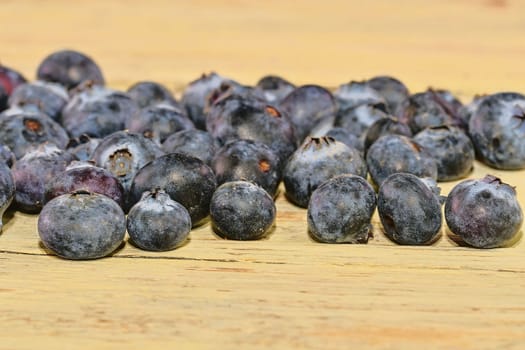 Blueberries  on white wooden background. Bilberries, blueberries, huckleberries whortleberries