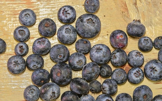 Blueberries  on white wooden background. Bilberries, blueberries, huckleberries, whortleberries Flat design 