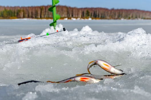 Ice fishing in the winter time in Russia