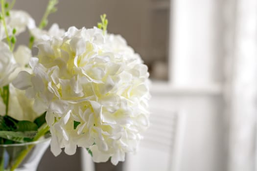 close-up view of a group of white flowers