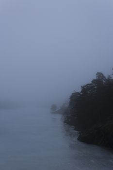 Pine and fir trees on a mountain leading down to a frozen lake on a misty day. Nackareservatet - nature reserve in Sweden