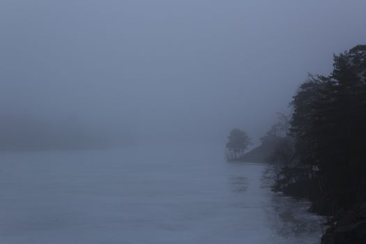 Pine and fir trees on a mountain leading down to a frozen lake on a misty day. Nackareservatet - nature reserve in Sweden