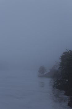 Pine and fir trees on a mountain leading down to a frozen lake on a misty day. Nackareservatet - nature reserve in Sweden