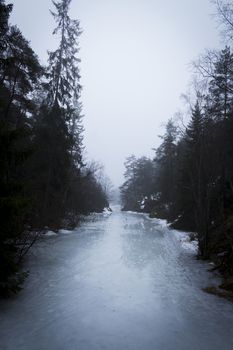 Frozen river - lake - surrounded by green trees, pine and fir tree, on a misty morning. Nackareservatet - nature reserve in Sweden