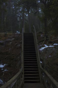 Stairway up a mountain, to a forest. Nackareservatet - nature reserve in Sweden