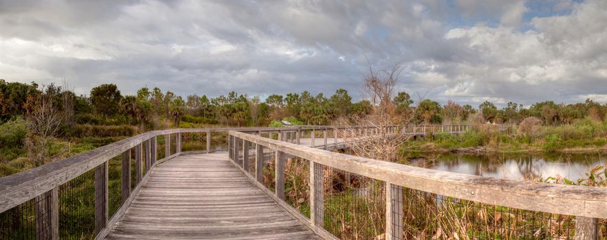 Wooden secluded, tranquil boardwalk along a marsh pond in Freedom Park in Naples, Florida