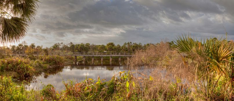 Bridge boardwalk made of wood along a marsh pond in Freedom Park in Naples, Florida