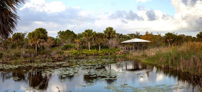 Sunset over Gazebo on a wooden secluded, tranquil boardwalk along a marsh pond in Freedom Park in Naples, Florida