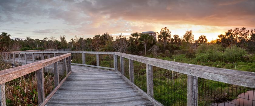 Bridge boardwalk made of wood along a marsh pond in Freedom Park in Naples, Florida