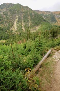 View of the rocky landscape of the Krkonose