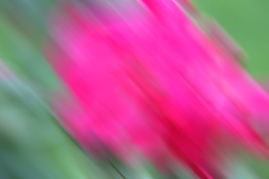 Nice abstract colorful background. Pink and green