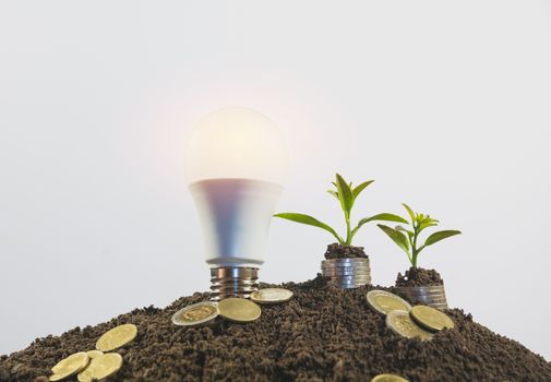 Energy saving light bulb and tree growing on stacks of coins on white background. Saving, accounting and financial concept.