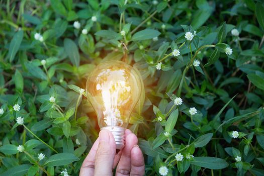 Hand of person holding light bulb for idea or success or solar energy concept.