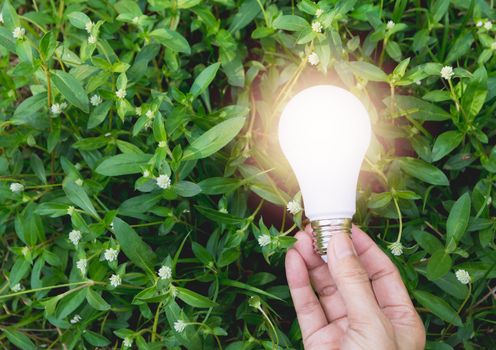 Hand of person holding light bulb for idea or success or solar energy concept.