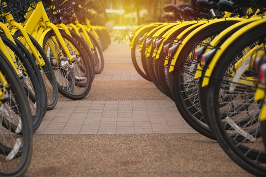 Rental bikes in urban. Shared bicycle public bicycle.