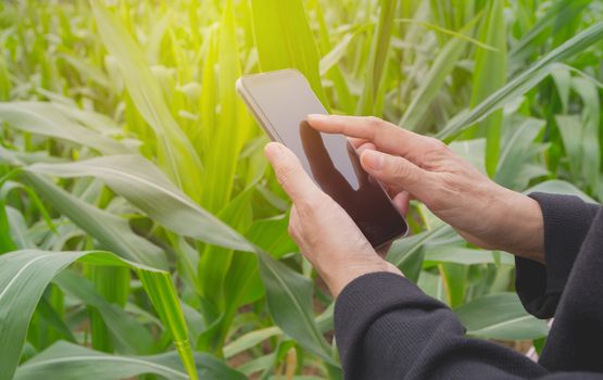 Hand of woman using smart phone, personal chat, and social media on nature background.