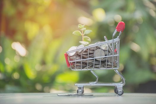 Coins in shopping cart. Concept finance business and shopping investment.