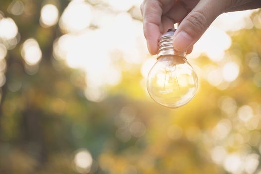 Hand of person holding light bulb for idea or success or solar energy concept.