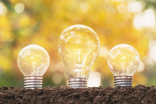 Light bulbs with glowing. Idea, creativity and solar energy concept with light bulbs.