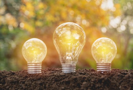 Light bulbs with glowing. Idea, creativity and solar energy concept with light bulbs.