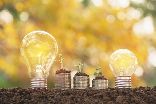 Energy saving light bulb and tree growing on stacks of coins on nature background. Saving, accounting and financial concept.